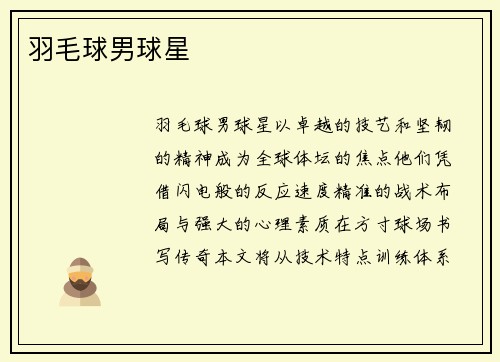 羽毛球男球星